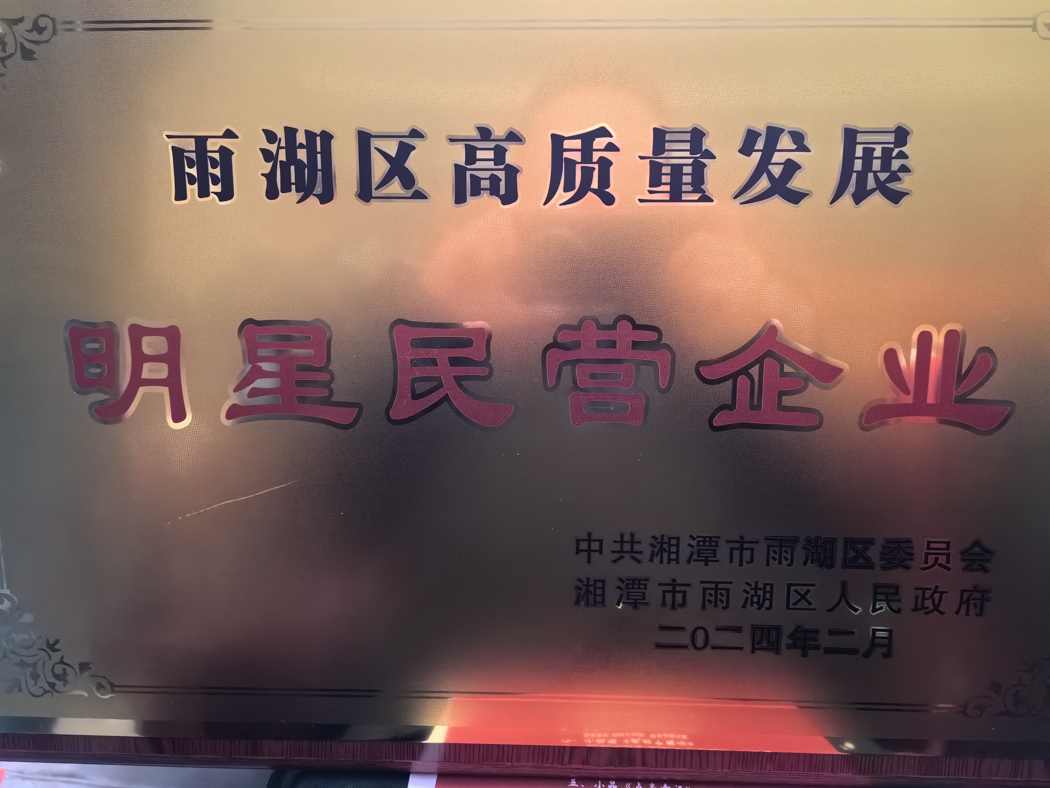 全球最大体育平台IOS/安卓全站最新版下载荣获“雨湖区高质量发展明星民营企业”称号